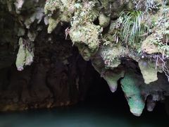 -怀托摩萤火虫洞