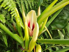 -国家植物园南园