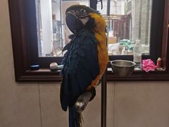 -观桥阁(锦溪店)