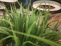 -聚盛源蒸汽海鲜火锅烤肉自助(巨川金海岸购物广场店)