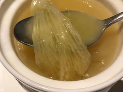 即位鱼翅-半岛翡丽海鲜自助餐厅(观风亭店)
