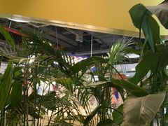 -必胜客(桐梓坡店)