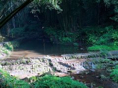 -川西竹海景区