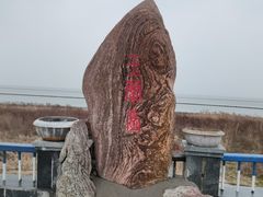 -合肥滨湖国家森林公园