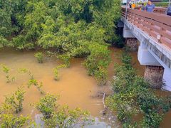 -宝安西湾红树林湿地公园