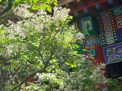 -碑林公园