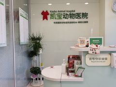 -悦宠凯宝动物医院·牙科·皮肤科(朝阳北路店)