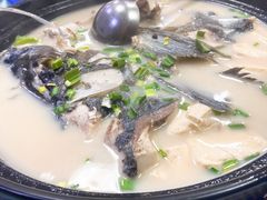白鲢鱼头汤-芸海阁·农家私房菜(沙家浜景区出口店)
