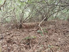 -敬亭山风景名胜区