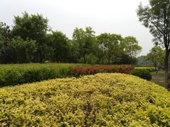 -森林公园(尖草坪区)