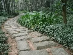 -畔山酒店中餐厅