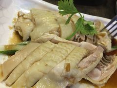 -五星海南鸡饭餐馆(东海岸路店)