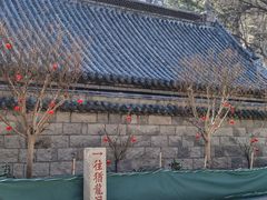 -崂山仰口游览区
