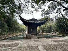 -兰亭风景区