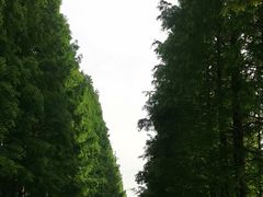 -窦圌山风景区