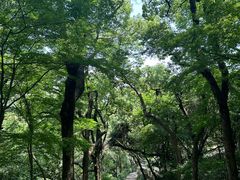 -宁波市保国寺古建筑博物馆