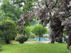 -上海东方佘山翰悦阁酒店·Vie全日制餐厅