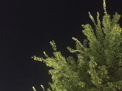 -南京眼步行桥