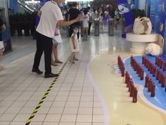 -石家庄海洋公园