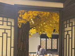 -江南韵·无锡太湖文化体验餐厅(凤凰天街店)