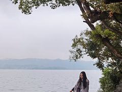 -杭州西湖柳莺里酒店·闻莺厅