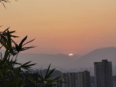 -福道