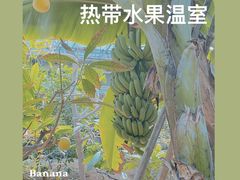-北戴河集发农业梦想王国