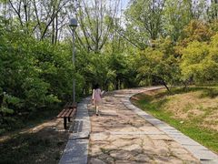 -奥林匹克森林公园南门-停车场