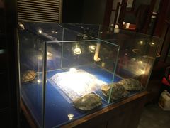 -好介口深夜酒馆(梅江店)