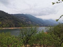-广州市流溪河国家森林公园