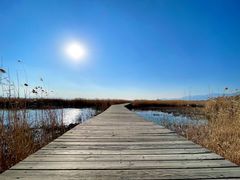 -野鸭湖国家湿地公园