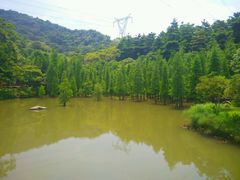 -广州市帽峰山景区