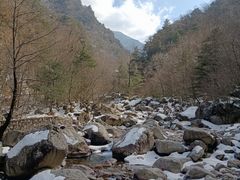 -青峰峡国家森林公园