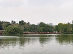 -海珠湖公园