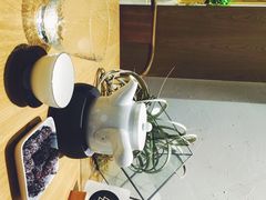 一会(一会喫茶店)-柴务处·柴犬主题狗咖