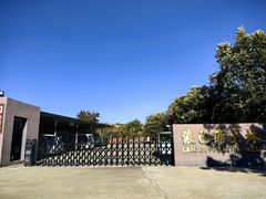 -元谋浪巴铺土林景区