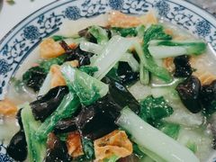 皮儿荤素-兰边碗(鼓楼店)