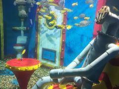 -大连圣亚海洋世界