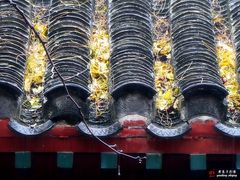 -北京国子监胡同