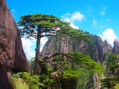 -黄山风景区