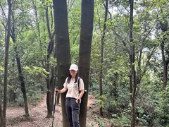 -火炉山森林公园