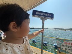 -海驴岛(荣成市)