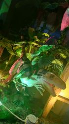 -恐龙探索乐园(磁器口店)