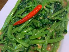 秘制虾酱炒空心菜-帕蓝·暹罗料理(曲阳店)