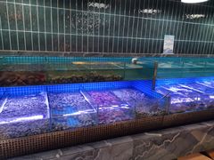-海韵之星邮轮水会(明发商业广场店)