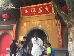 -宝岩生态观光园