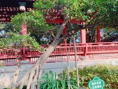 -乌山风景区