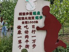 -文瀛公园