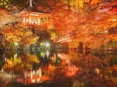 -醍醐寺