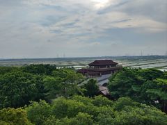 -大湾区中央湿地公园